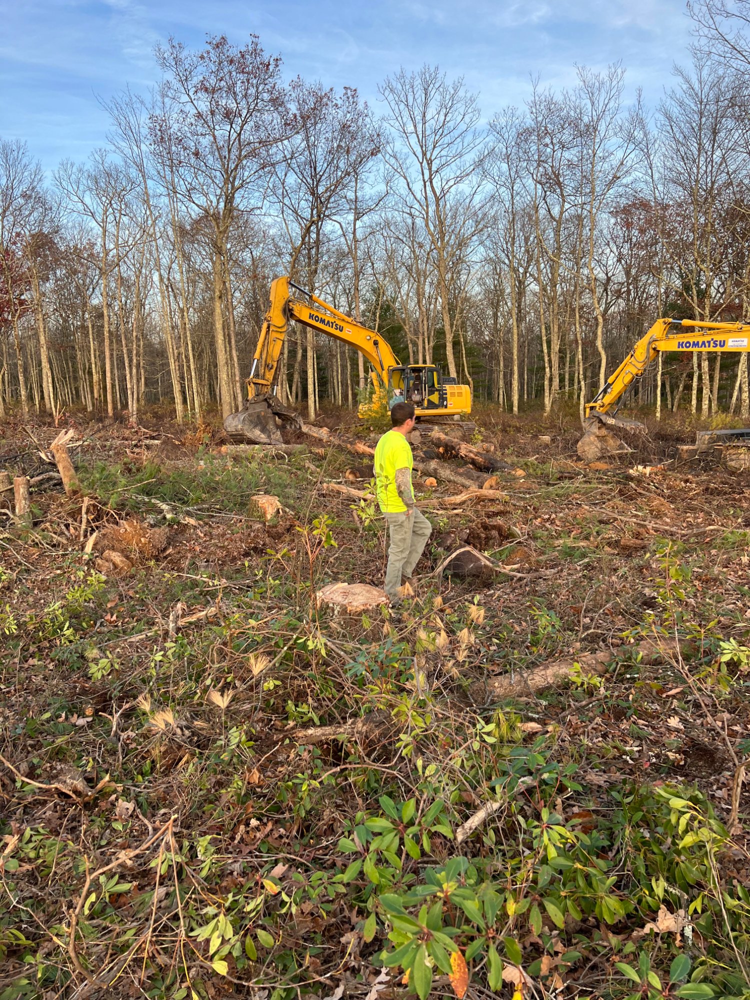 Sustainable timber harvesting in Sullivan County, New York