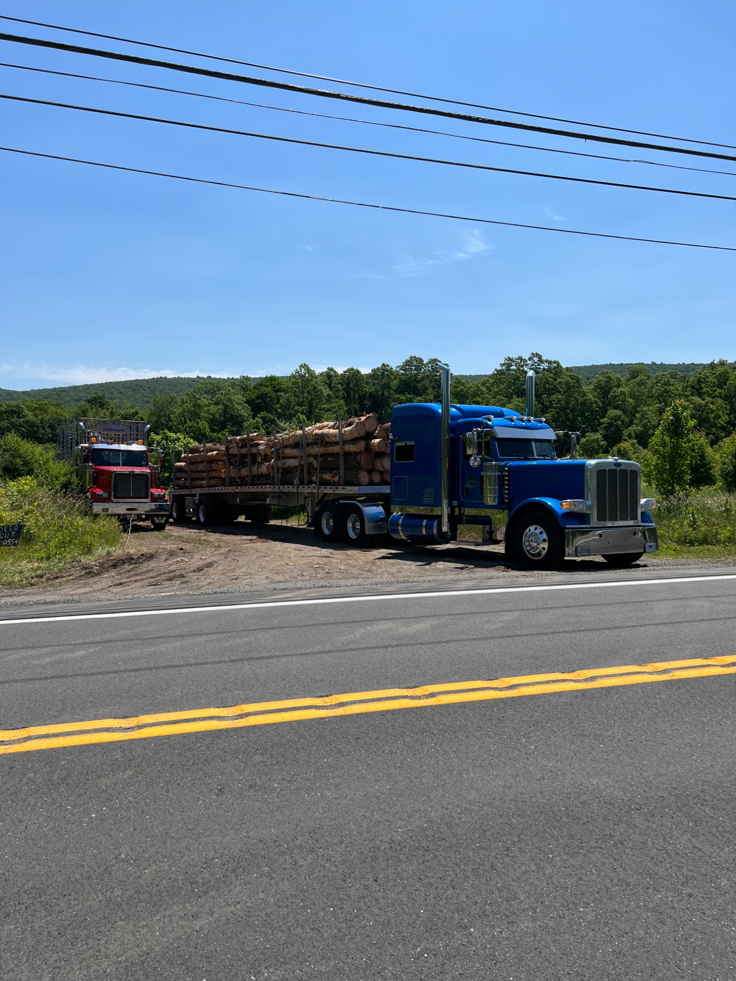 Log trucks loaded with hardwood timber in the Hudson Valley, NY