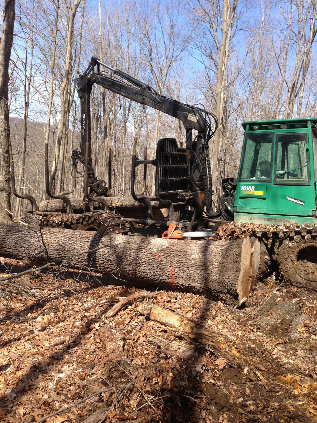 TimberPro forwarder loading logs on an NYC DEP forestry project in Carmel, NY